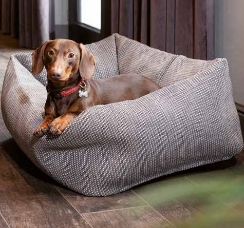 Looms Rattan Möbel Pforzheim - Hundebett Dotty