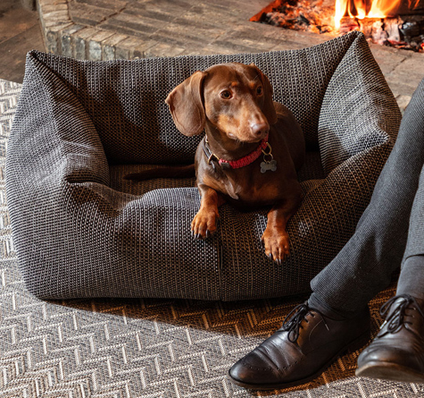 Looms Rattan Möbel Pforzheim - Hundebett Dotty